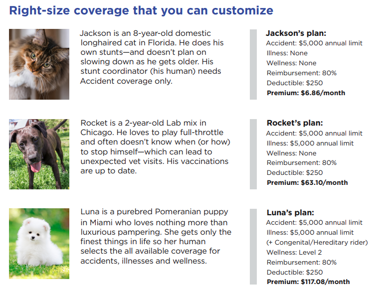 Pet insurance plan examples